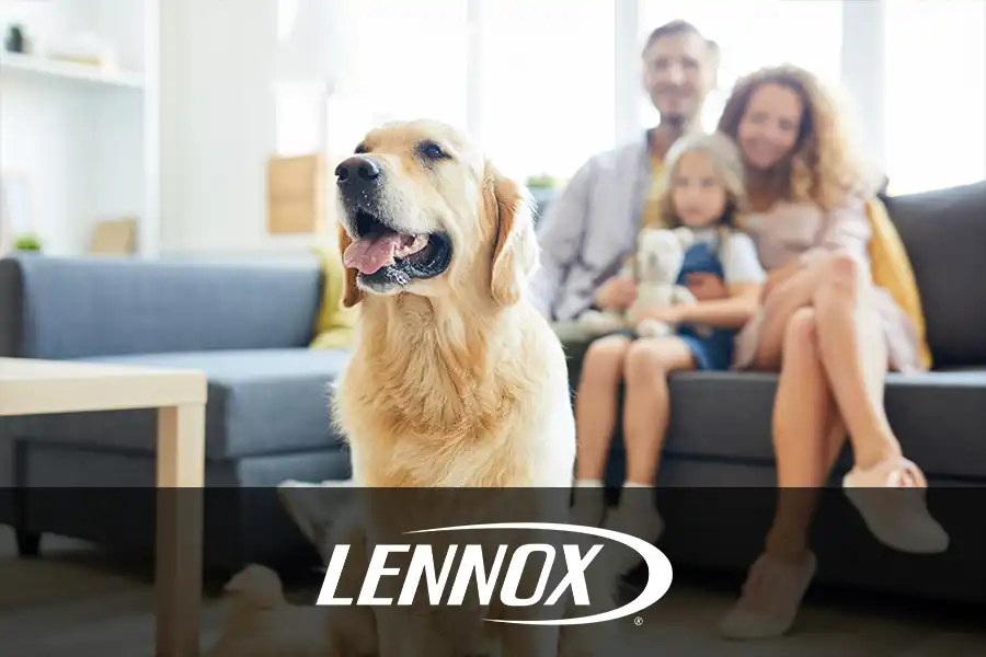 Bormida Heating & Cooling—A golden retriever sits on the floor near its family in a home in Springfield, IL.