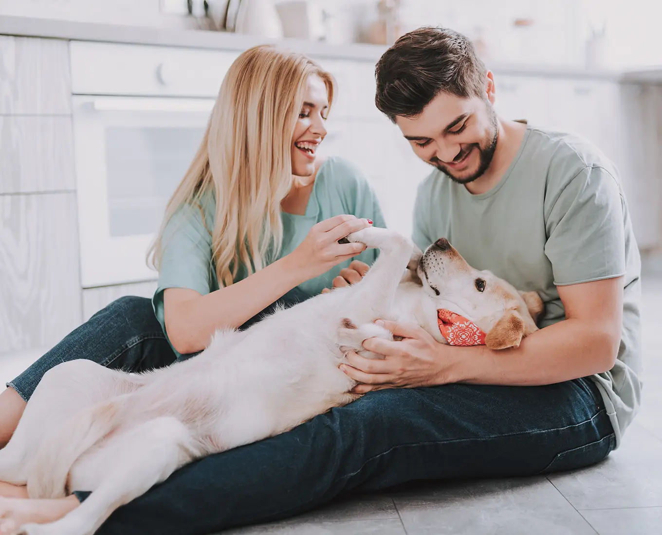 Happy couple relaxing indoors with their dog in a cool home after professional AC installation and air conditioning replacement services in Springfield, IL.