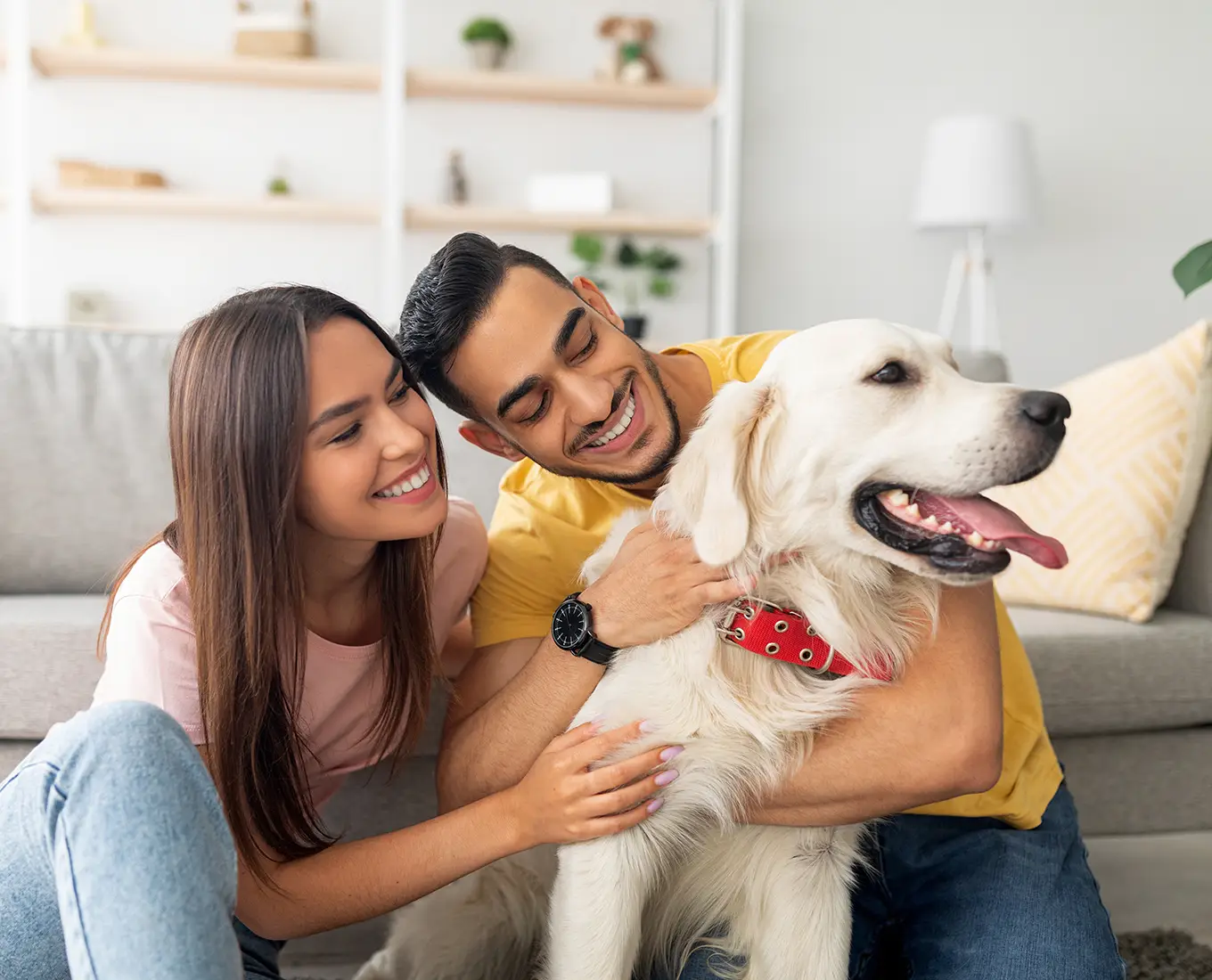 Couple relaxing comfortably indoors with their dog after professional AC repair restored cooling in their Springfield, IL home.
