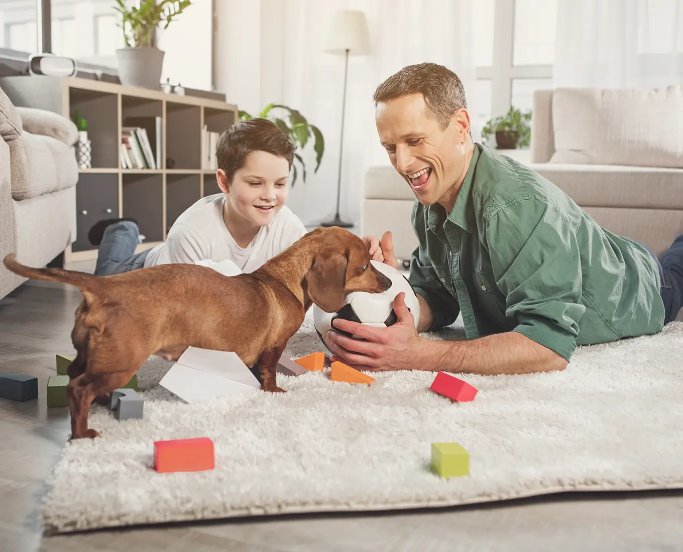 Father and child playing with their dog in a cool living room after fast emergency AC repair restored comfort in their Springfield, IL home.