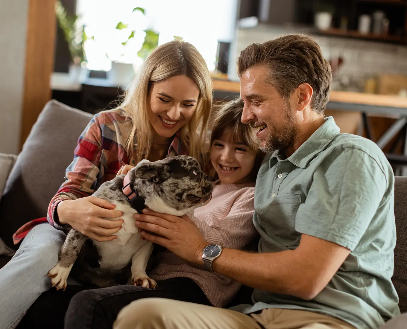 Family relaxing together with their dog in a comfortable home supported by ductless HVAC solutions and mini-split system installation in Springfield, IL.