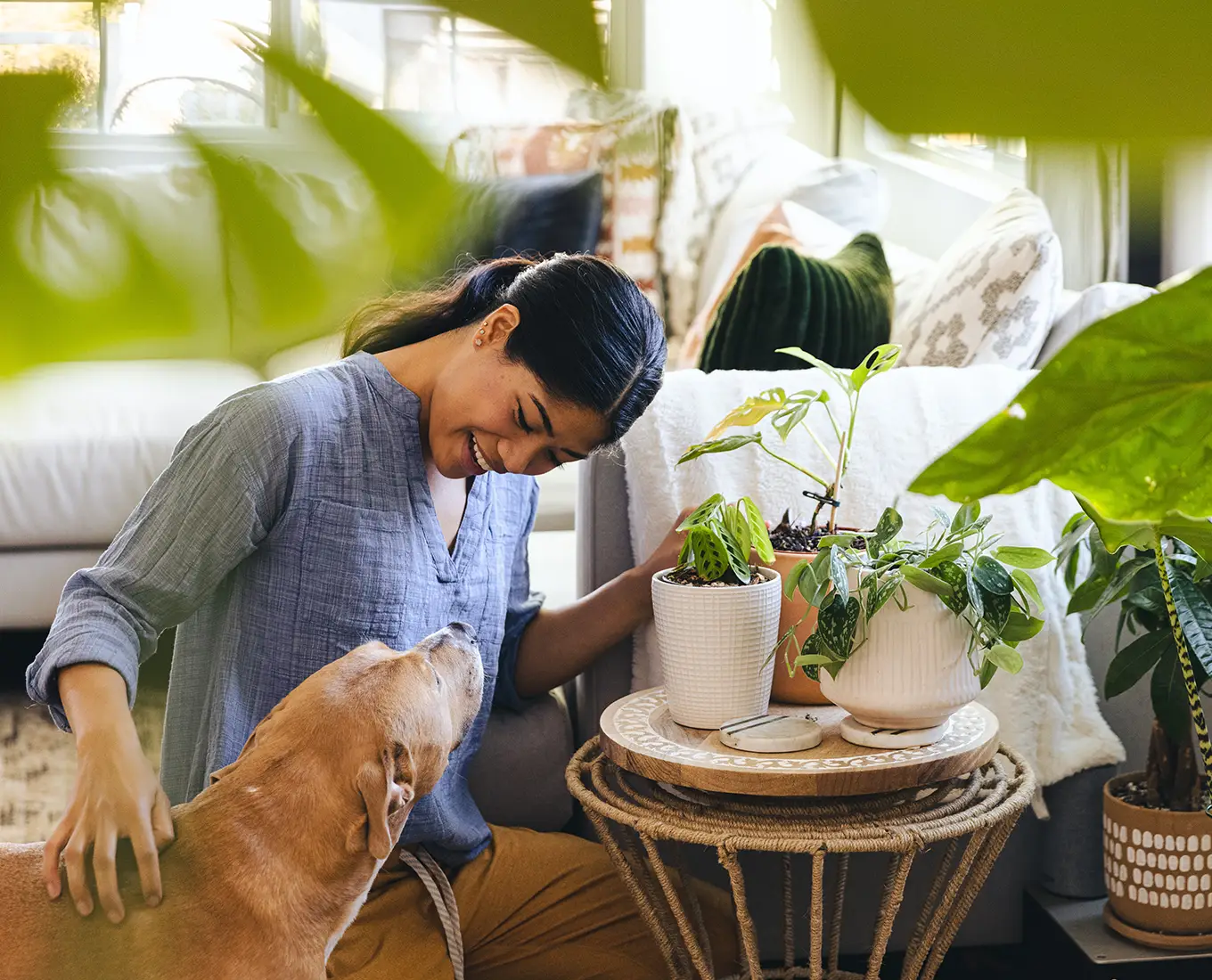 Homeowner and her dog enjoying comfortable indoor environment with geothermal heating and cooling system in Springfield IL