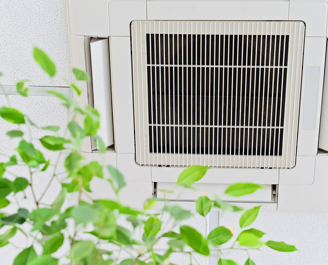 Indoor air quality system vent with surrounding greenery symbolizing clean, healthy airflow in Springfield IL home or business