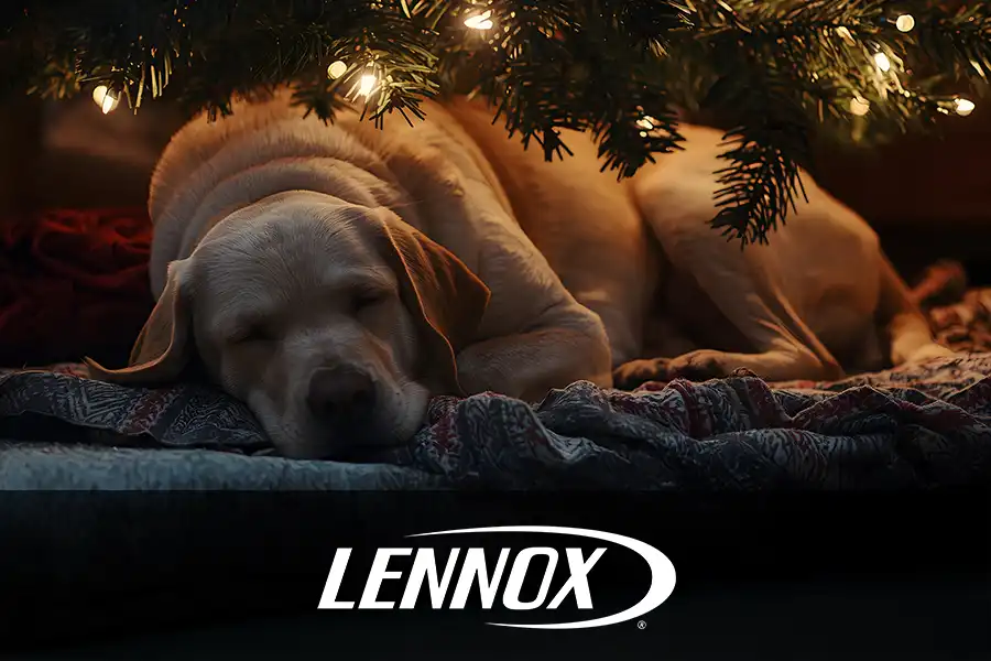Bormida Heating & Cooling—A sleeping puppy under a Christmas tree in a home in Springfield, IL